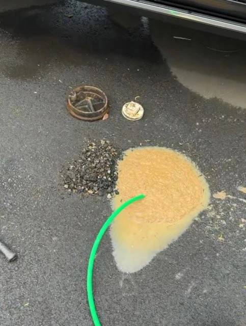 Professional Plumbing Services